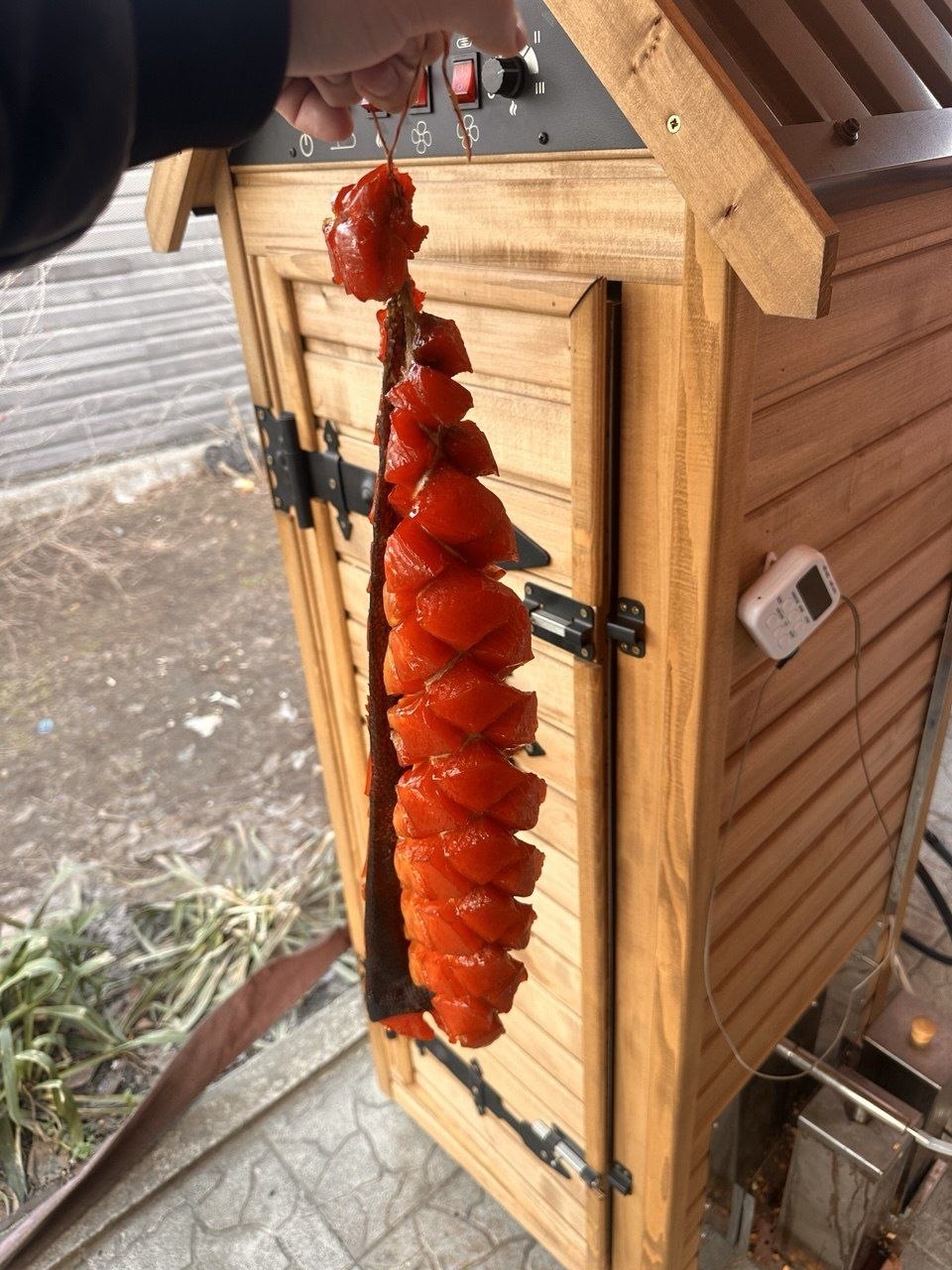 Галерея Юкола
